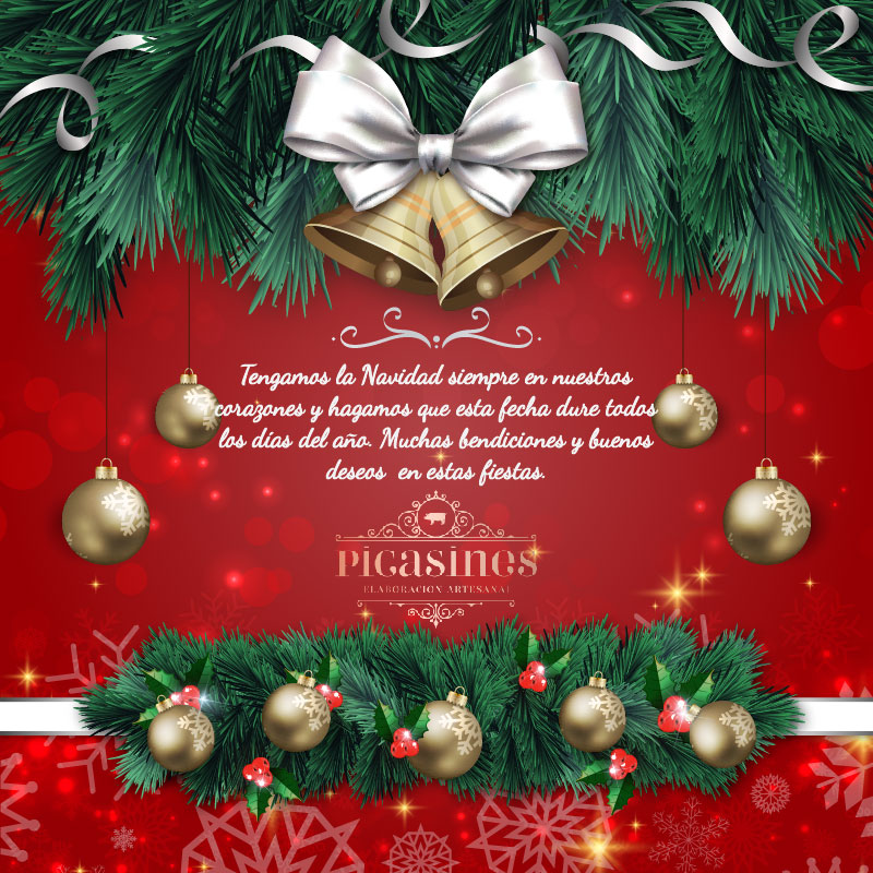¡Feliz Navidad PICASINES!